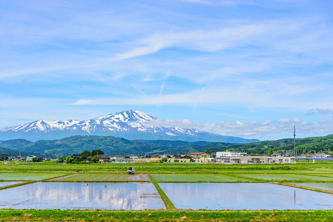 庄内平野より鳥海山を望む