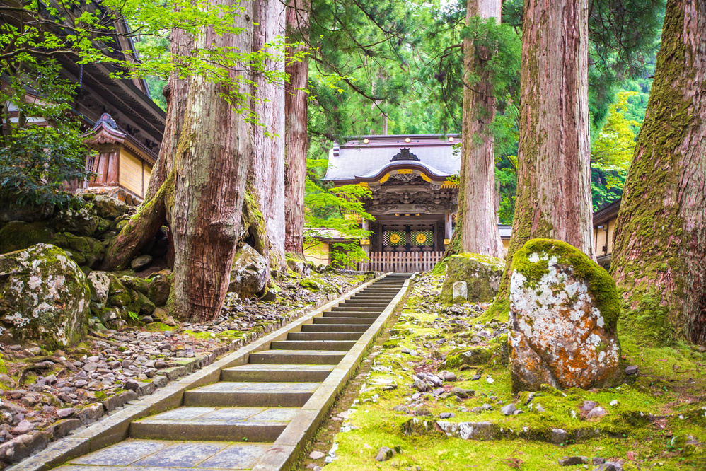 seofv_fukui
