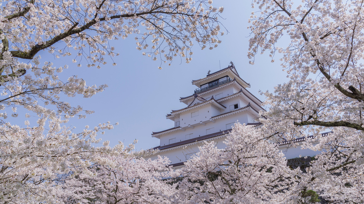 鶴ヶ城の桜