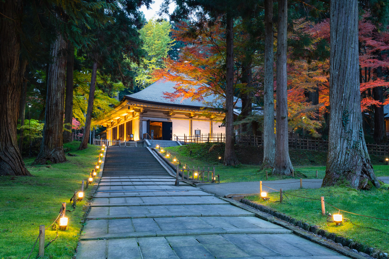 日本のお寺　中尊寺ライトアップされた紅葉の金色堂覆堂