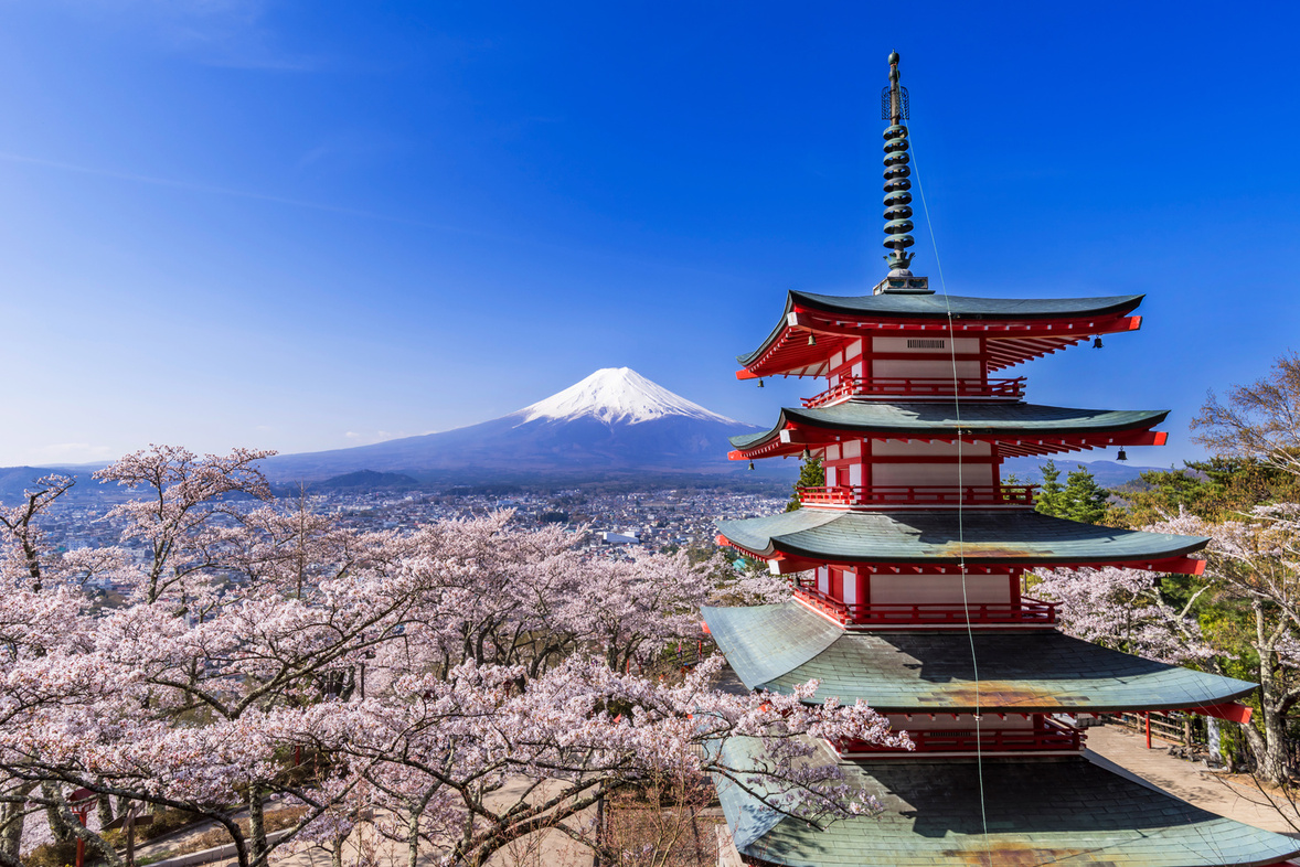 新倉山浅間公園 満開の桜と富士山